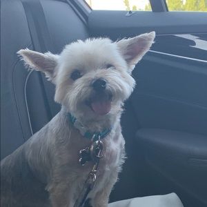 Meet your Posher, Madison